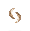 Starry Night 3D Moon Stud Earrings